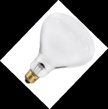 Heat Lamp Bulbs 125R40/CVG  ( 6 Pack )